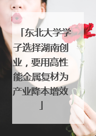 东北大学学子选择湖南创业，要用高性能金属复材为产业降本增效