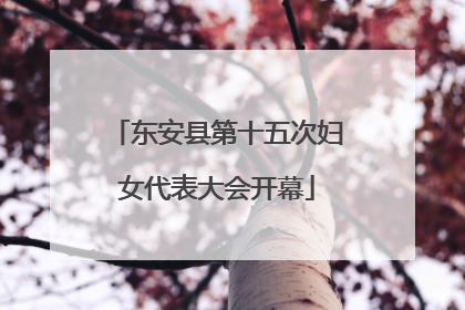 东安县第十五次妇女代表大会开幕