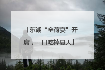 东湖“全荷宴”开席，一口吃掉夏天