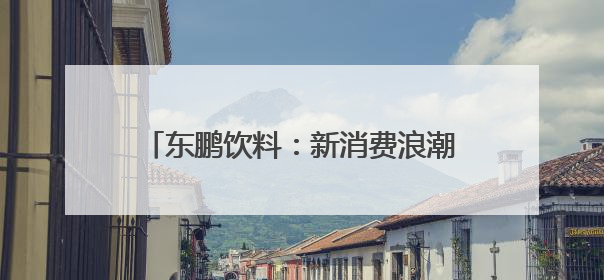 东鹏饮料：新消费浪潮下的民族品牌突围之路