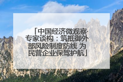 中国经济微观察·专家谈构：筑抵御外部风险制度防线 为民营企业保驾护航