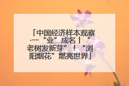 中国经济样本观察·一“业”成名丨“老树发新芽”！“浏阳烟花”燃亮世界