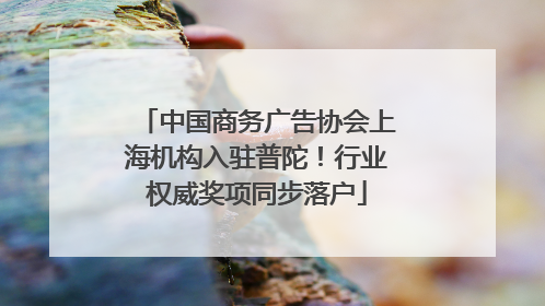 中国商务广告协会上海机构入驻普陀！行业权威奖项同步落户