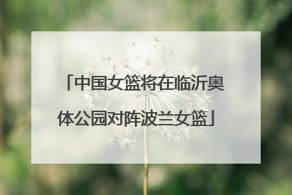 中国女篮将在临沂奥体公园对阵波兰女篮