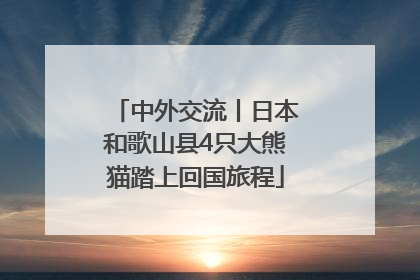 中外交流丨日本和歌山县4只大熊猫踏上回国旅程