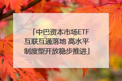 中巴资本市场ETF互联互通落地 高水平制度型开放稳步推进