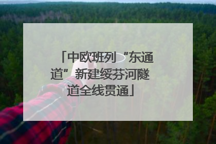 中欧班列“东通道”新建绥芬河隧道全线贯通
