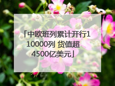 中欧班列累计开行110000列 货值超4500亿美元