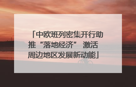 中欧班列密集开行助推“落地经济” 激活周边地区发展新动能