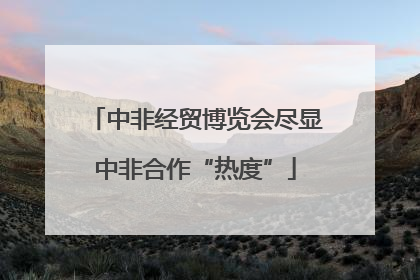 中非经贸博览会尽显中非合作“热度”