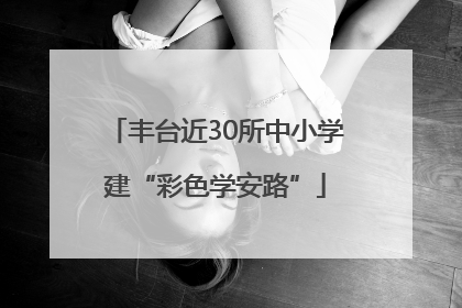 丰台近30所中小学建“彩色学安路”