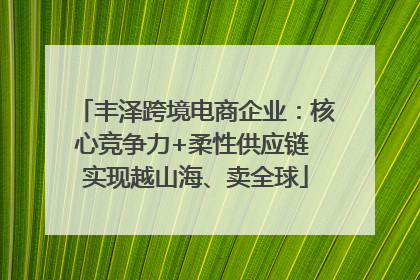 丰泽跨境电商企业：核心竞争力+柔性供应链 实现越山海、卖全球