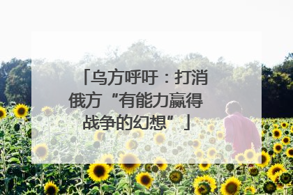 乌方呼吁：打消俄方“有能力赢得战争的幻想”