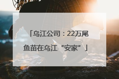 乌江公司：22万尾鱼苗在乌江“安家”
