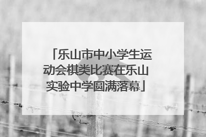 乐山市中小学生运动会棋类比赛在乐山实验中学圆满落幕