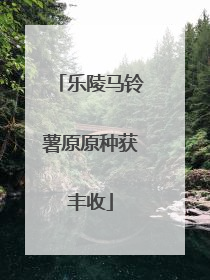 乐陵马铃薯原原种获丰收