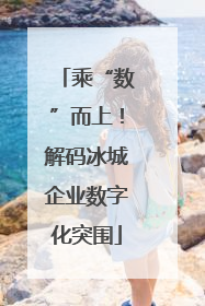 乘“数”而上！解码冰城企业数字化突围