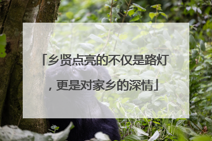 乡贤点亮的不仅是路灯，更是对家乡的深情