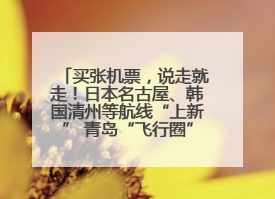 买张机票，说走就走！日本名古屋、韩国清州等航线“上新” 青岛“飞行圈”不断扩大