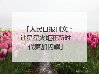 人民日报刊文：让星星火炬在新时代更加闪耀