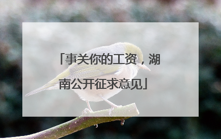 事关你的工资，湖南公开征求意见