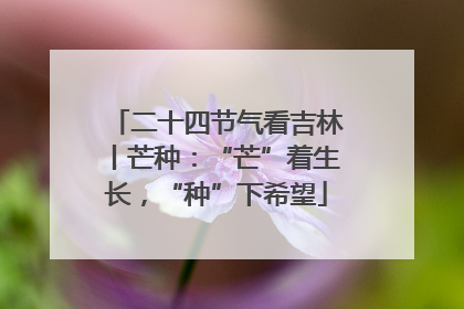 二十四节气看吉林丨芒种：“芒”着生长，“种”下希望