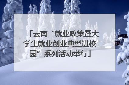 云南“就业政策暨大学生就业创业典型进校园”系列活动举行