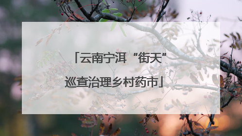 云南宁洱“街天”巡查治理乡村药市
