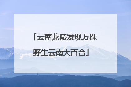 云南龙陵发现万株野生云南大百合