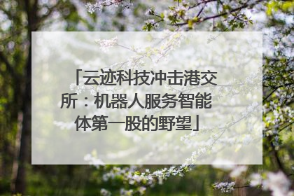 云迹科技冲击港交所：机器人服务智能体第一股的野望