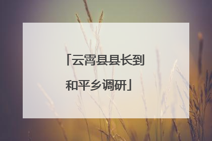 云霄县县长到和平乡调研