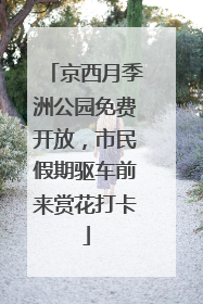 京西月季洲公园免费开放，市民假期驱车前来赏花打卡