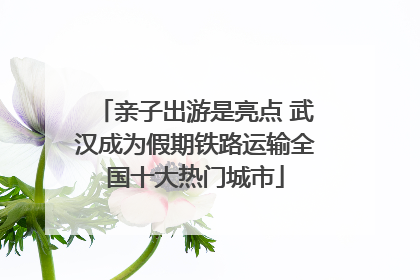 亲子出游是亮点 武汉成为假期铁路运输全国十大热门城市