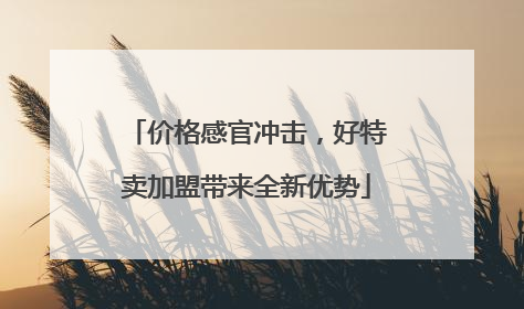 价格感官冲击，好特卖加盟带来全新优势