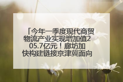 今年一季度现代商贸物流产业实现增加值205.7亿元！廊坊加快构建链接京津冀面向全世界的物流通道