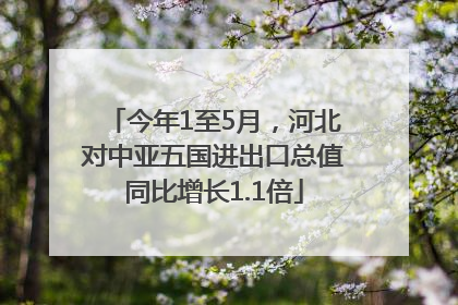今年1至5月，河北对中亚五国进出口总值同比增长1.1倍