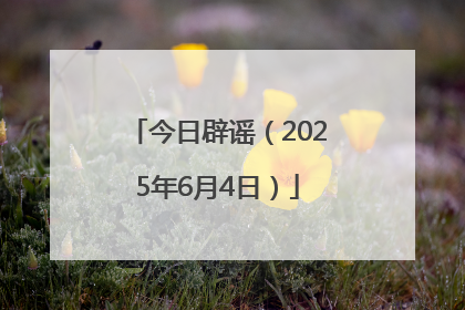 今日辟谣（2025年6月4日）