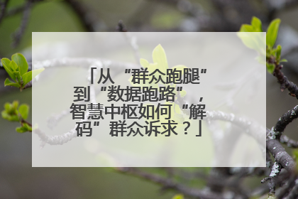 从“群众跑腿”到“数据跑路”，智慧中枢如何“解码”群众诉求？