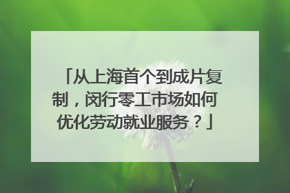 从上海首个到成片复制，闵行零工市场如何优化劳动就业服务？