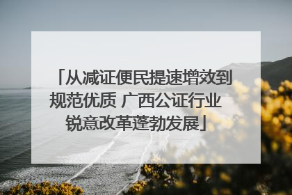 从减证便民提速增效到规范优质 广西公证行业锐意改革蓬勃发展