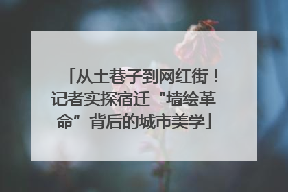 从土巷子到网红街！记者实探宿迁“墙绘革命”背后的城市美学