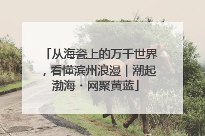 从海瓷上的万千世界，看懂滨州浪漫｜潮起渤海・网聚黄蓝