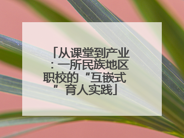 从课堂到产业：一所民族地区职校的“互嵌式”育人实践