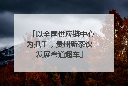 以全国供应链中心为抓手，贵州新茶饮发展弯道超车