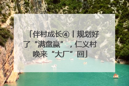 伴村成长④丨规划好了“满盘赢”，仁义村唤来“大厂”回