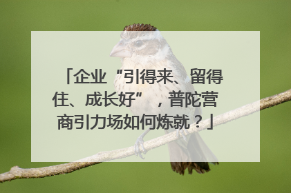 企业“引得来、留得住、成长好”，普陀营商引力场如何炼就？