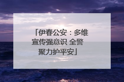 伊春公安：多维宣传强意识 全警聚力护平安