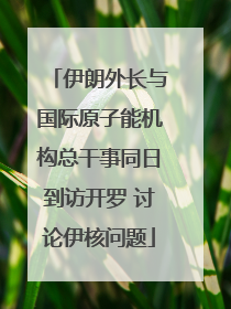 伊朗外长与国际原子能机构总干事同日到访开罗 讨论伊核问题