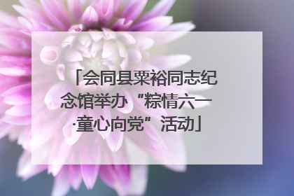 会同县粟裕同志纪念馆举办“粽情六一·童心向党”活动