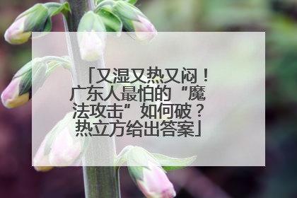 又湿又热又闷！广东人最怕的“魔法攻击”如何破？热立方给出答案